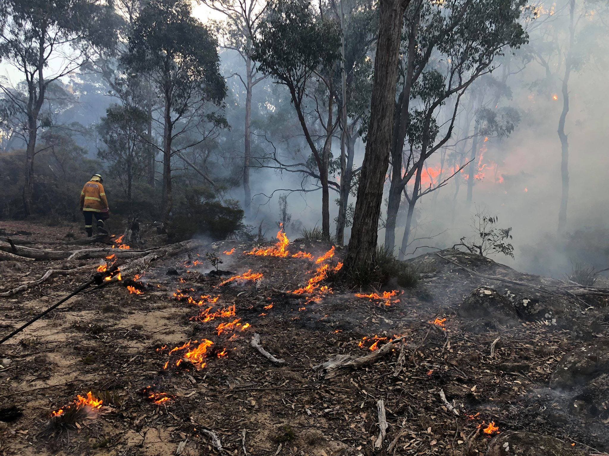 Bushfire 