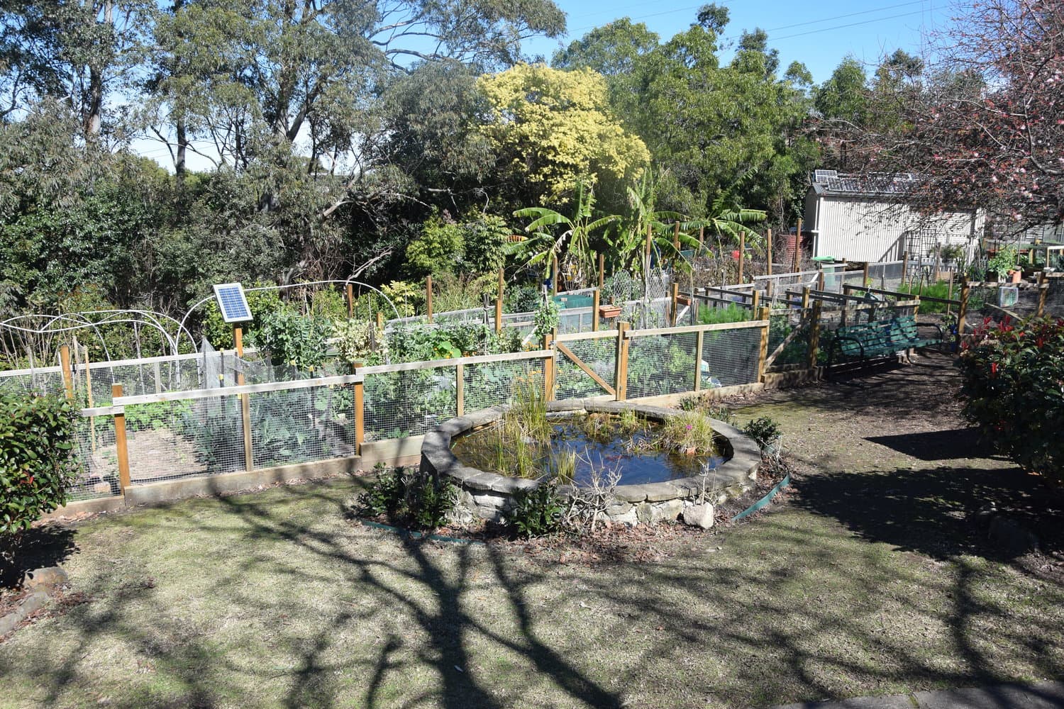 Turramurra Lookout Community Garden 