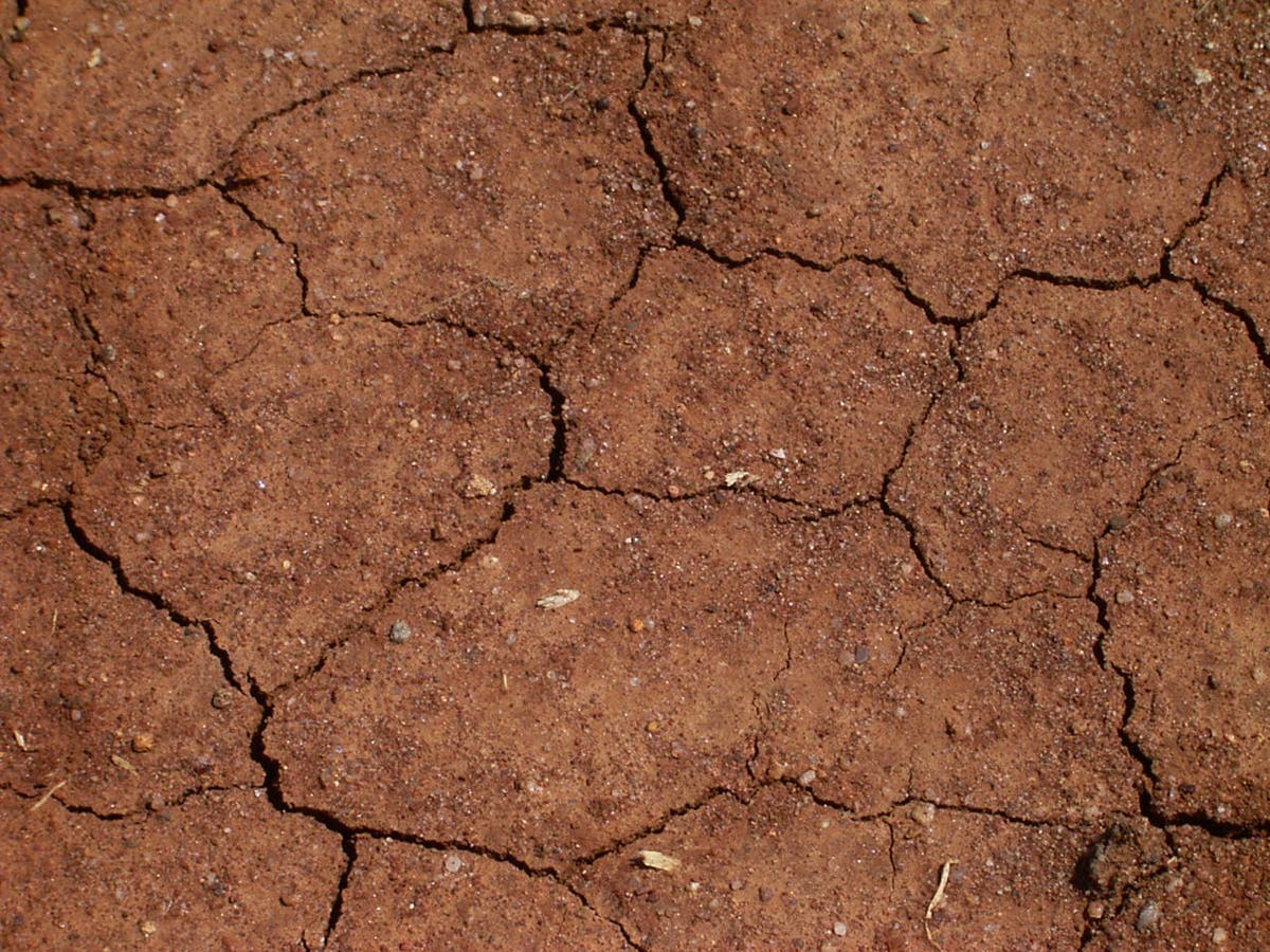 Dry Australian Soil 