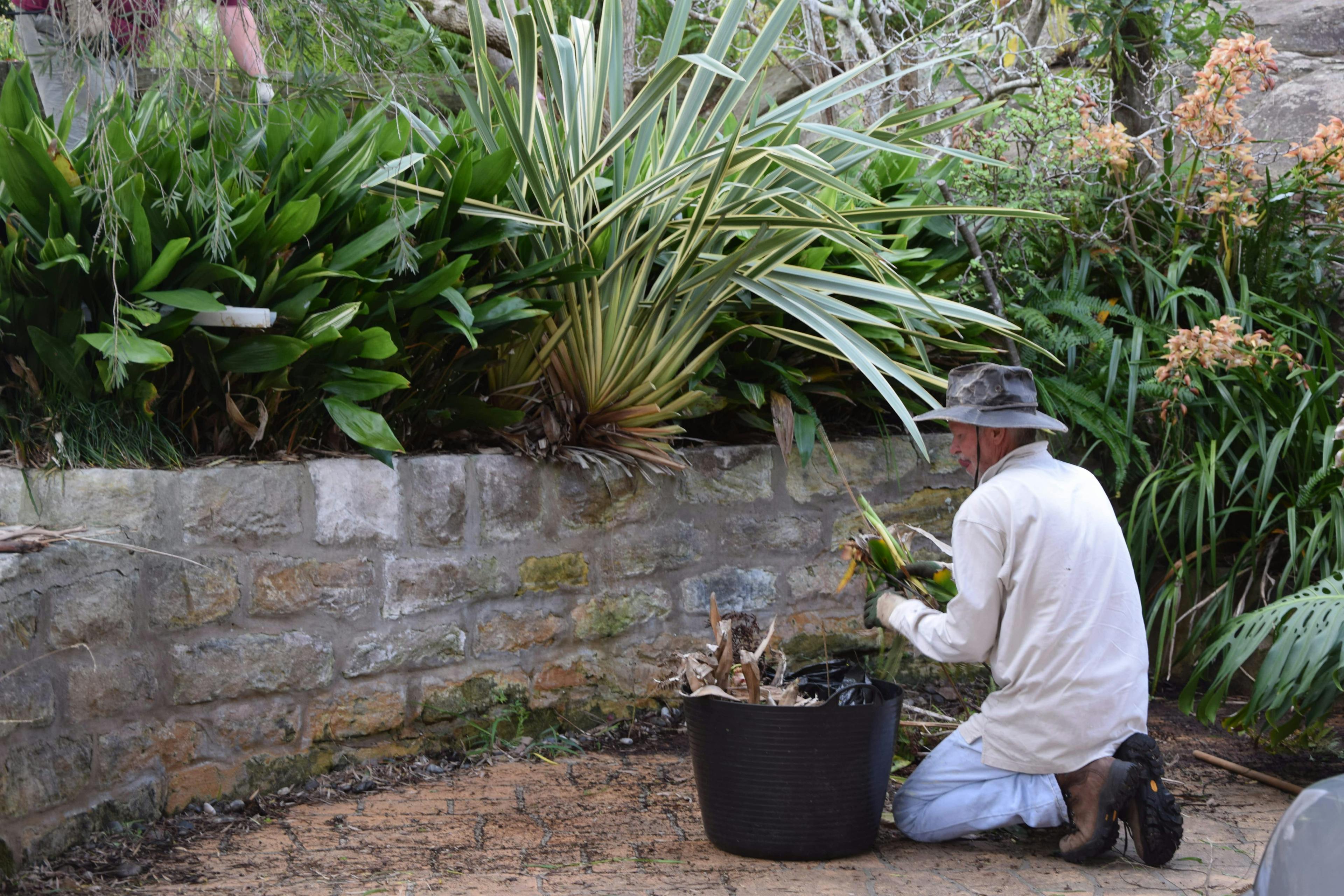 Ku-ring-gai senior citizen doing some gardening
