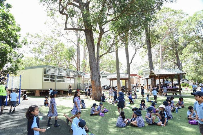 Waitara Public School 